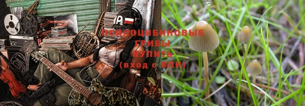 спайс Богородск