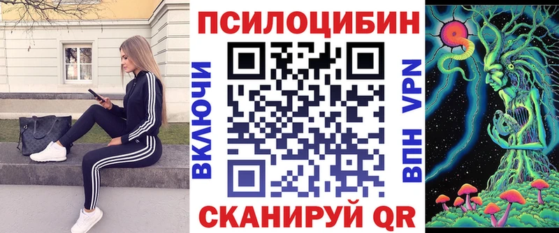 Купить  Великий Устюг  Псилоцибиновые грибы Magic Shrooms 